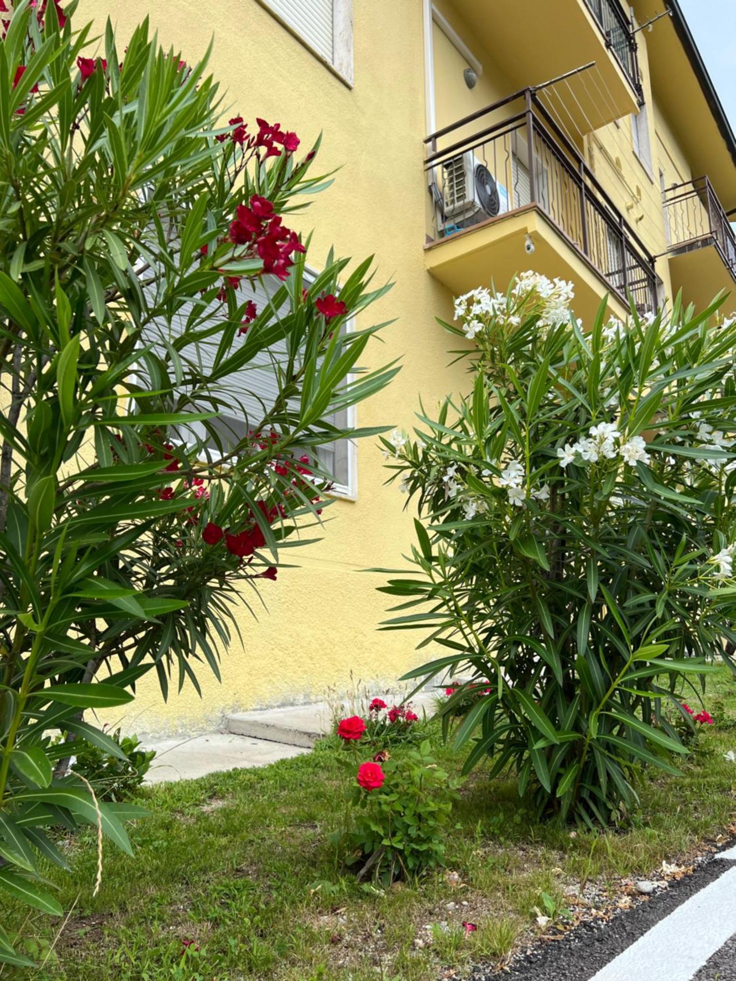 Casa R&E Vila Valbrona Exterior foto